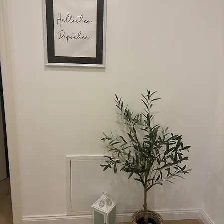 Apartment Landhausstübchen 105qm Mit Balkon-2 Schlafzimmer-bad-wc-wifi-kaffeemaschine-waschmaschine-trockner-föhn-handtücher Und Bettwäsche-sehr Familienfreundlich