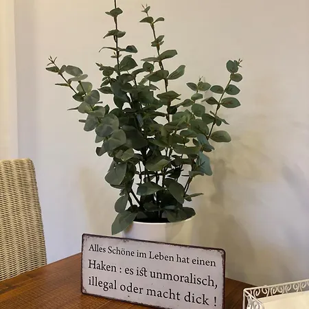 Landhausstuebchen 105qm Mit Balkon-2 Schlafzimmer-bad-wc-wifi-kaffeemaschine-waschmaschine-trockner-foehn-handtuecher Und Bettwaesche-sehr Familienfreundlich Appartamento Eichenzell